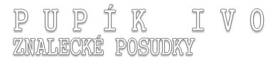 Ivo Pupík - znalecké posudky